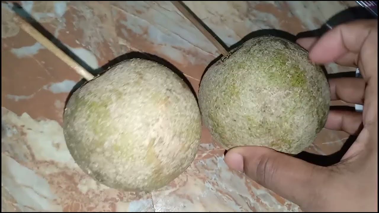 কদবেলের ভর্তা রেসিপি।  অনেক সিম্পল খুবি মজার । Kodbeler vorta resipi .