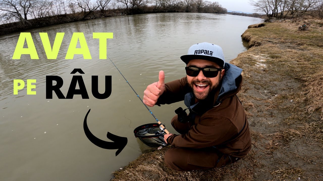 PESCUIT la AVAT cu voblere RAPALA