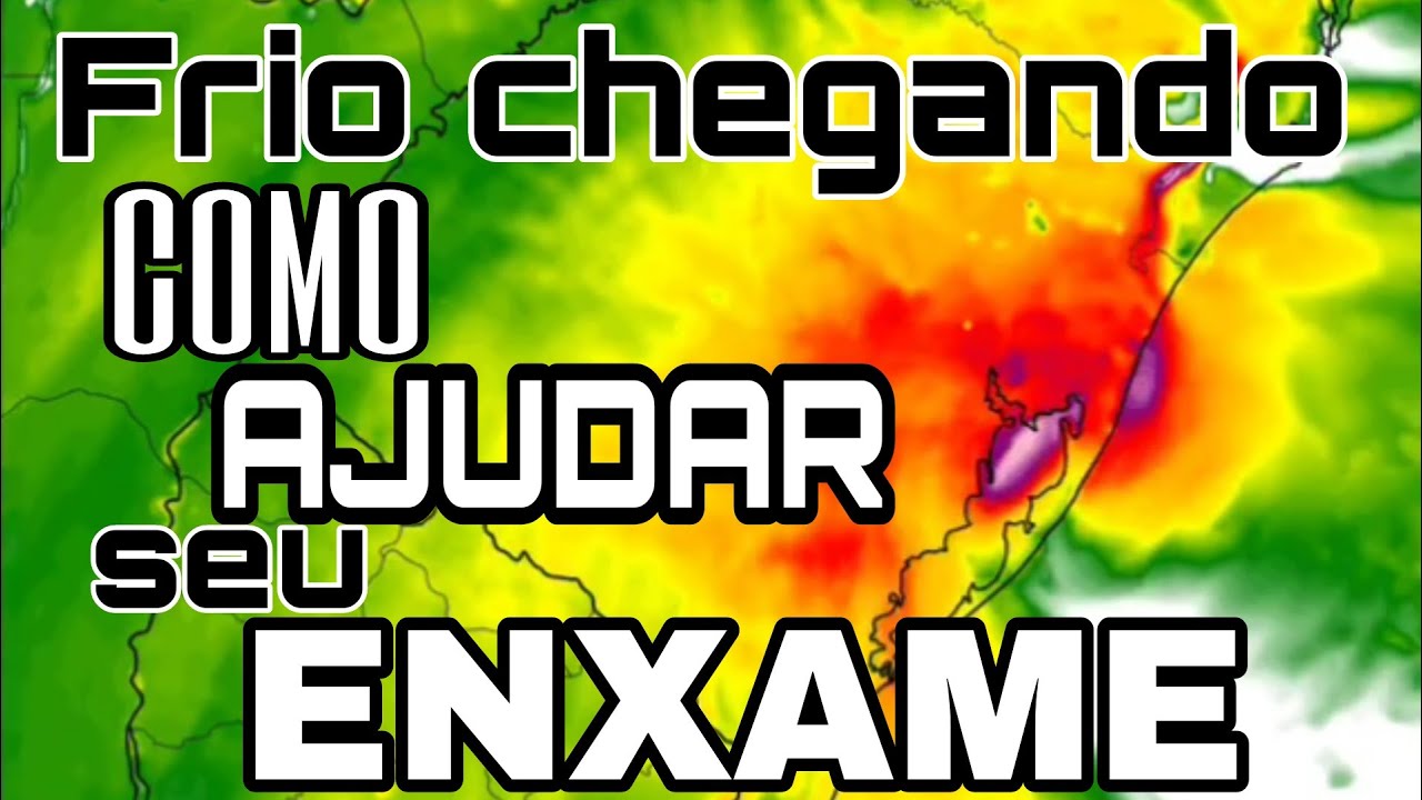 Frio chegando!  Oque fazer para AJUDAR seus ENXAMES #entresafra #abelha #alimentação