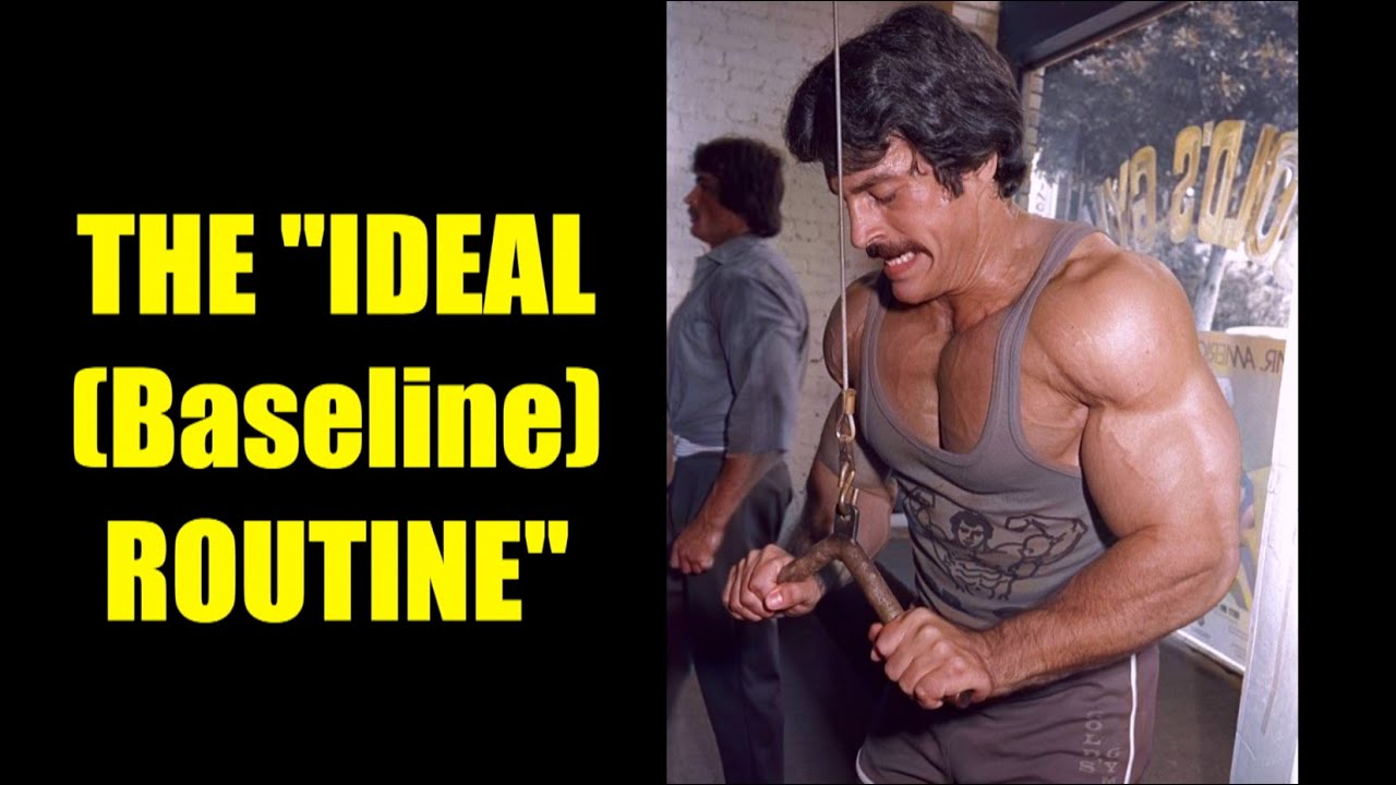 MIKE MENTZER: THE &ldquo;IDEAL (BASELINE) ROUTINE&rdquo; (UPDATED) #mikementzer #gym #motivation #bodybuilding