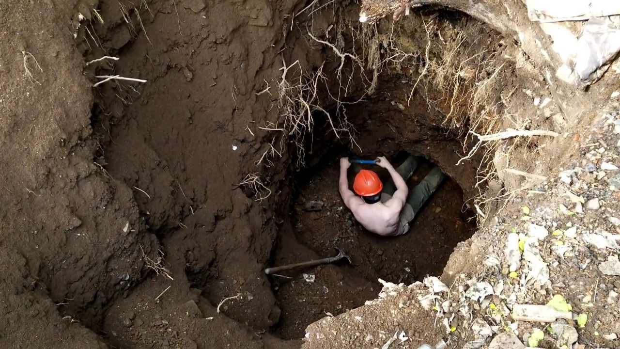 WE DUG DEEP AND FOUND AN UNEXPECTED ANIMAL WHILE BOTTLE DIGGING!!!