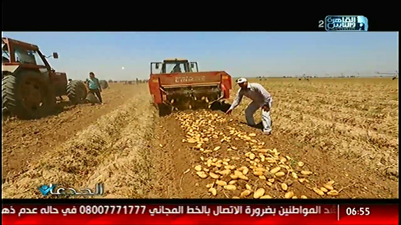 الجدعان | مشروع الصالحية الجديدة .. أسرار من داخل منزل  السادات .. عمليات أنقاذ الأسماك من الافتراس