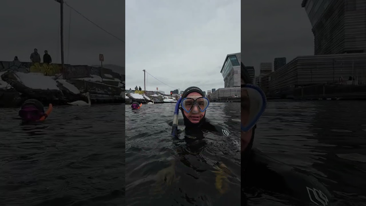 Cleaning up the icy#Oslo #fjord with #@fjordcleanup5177 