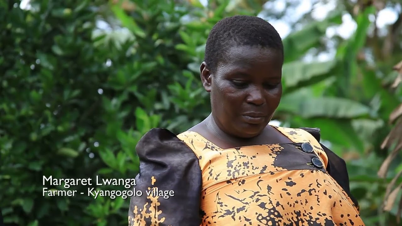 Operation & Maintenance of Rainwater Systems