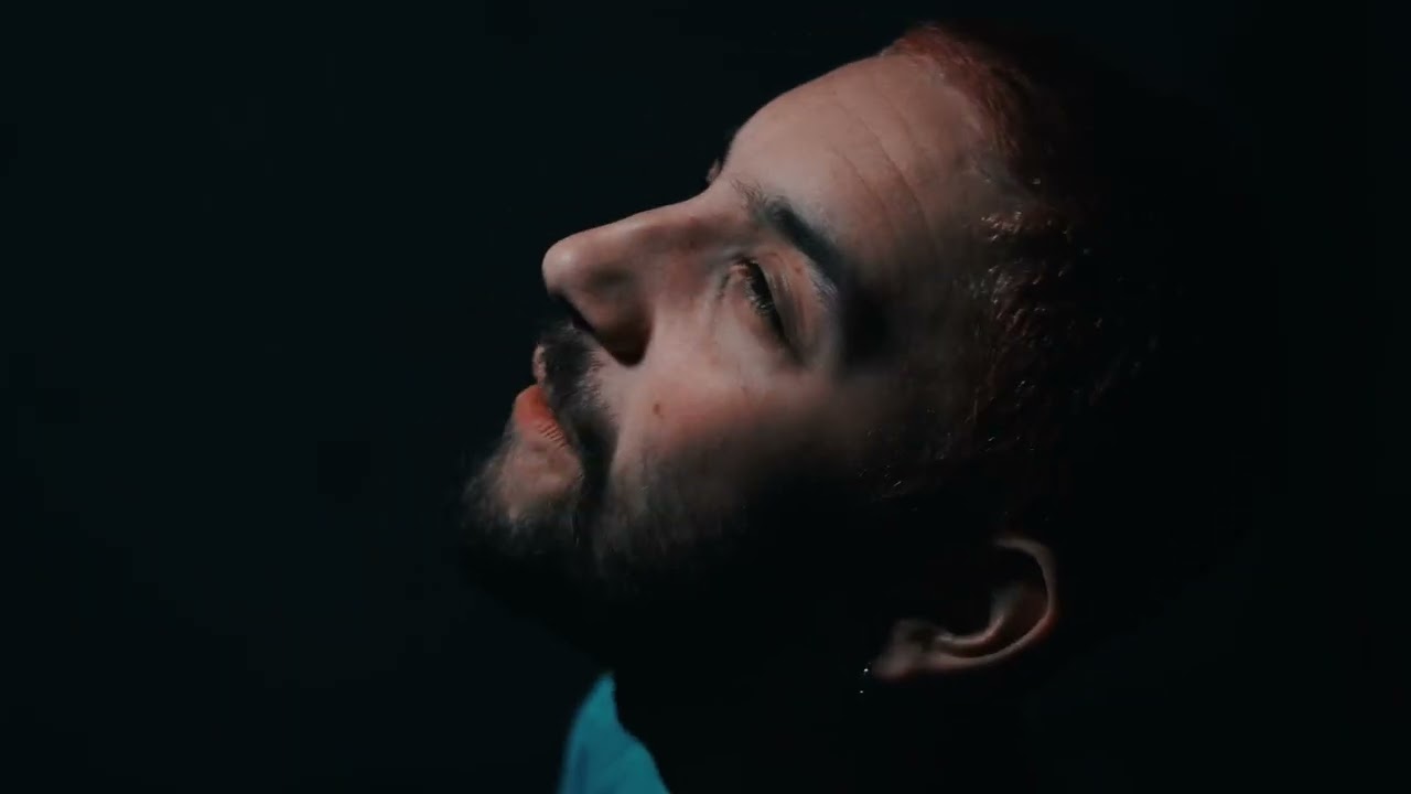 Humour - Plagiarist (official video)