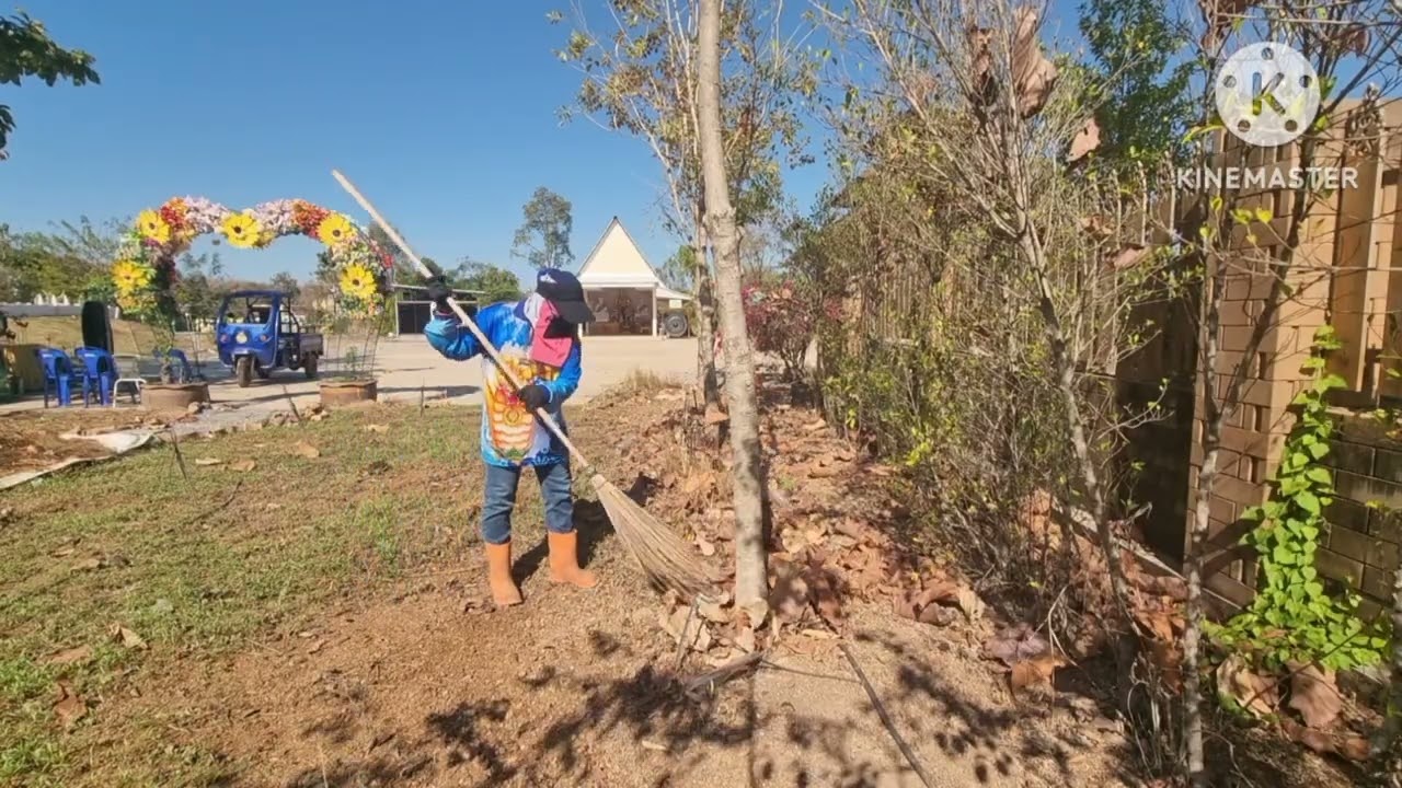 เพื่อนๆไปทำธุระให้ป้า,คนอยู่ดูแลลุยงาน,เคลียร์พื้นที่จุดไหน