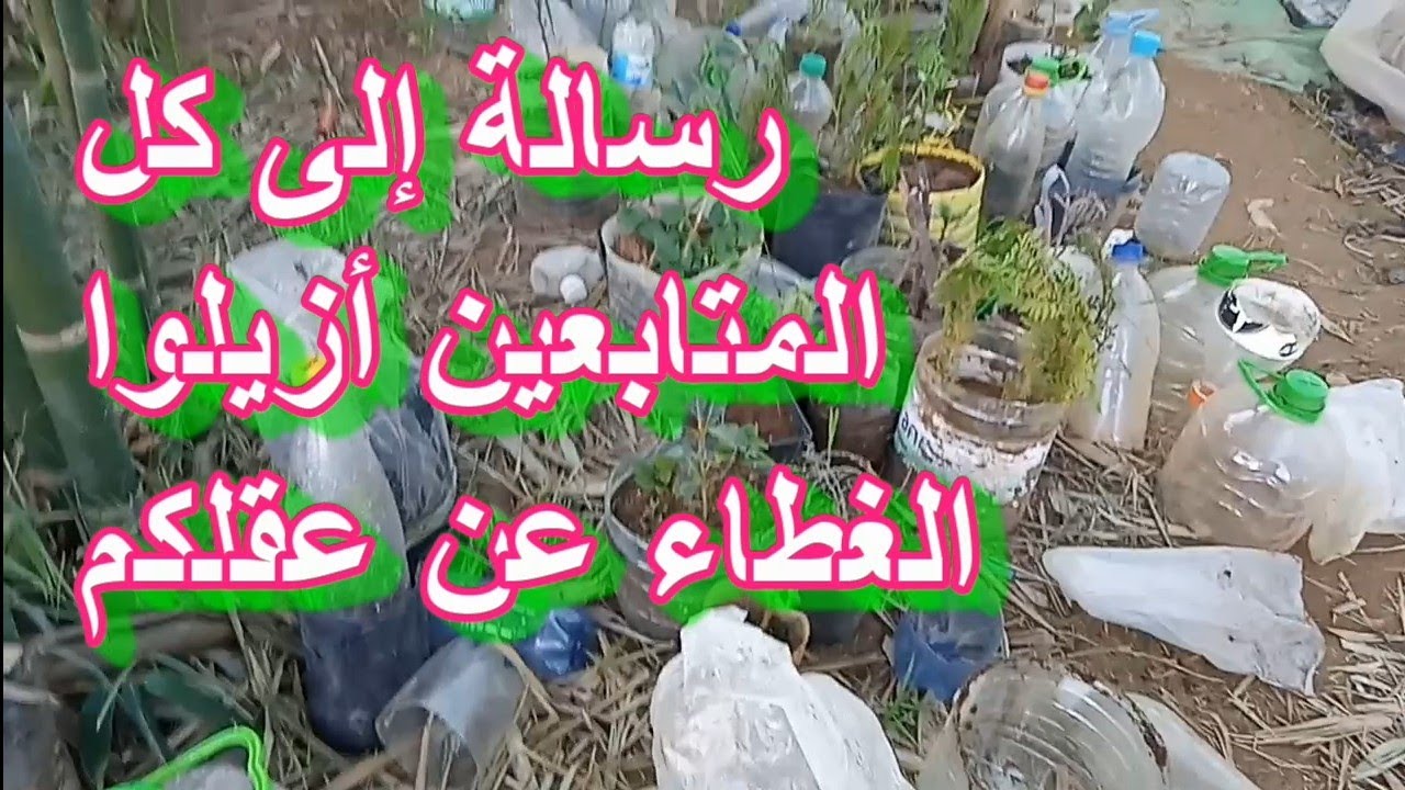 رسالة إلى كل المتابعين أزيلوا الغطاء عن عقلكم