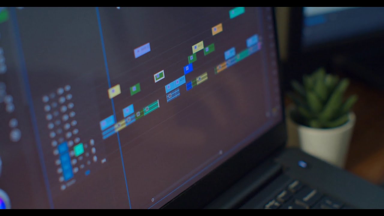 Magix Movie Studio 2025, основы (без кашля)