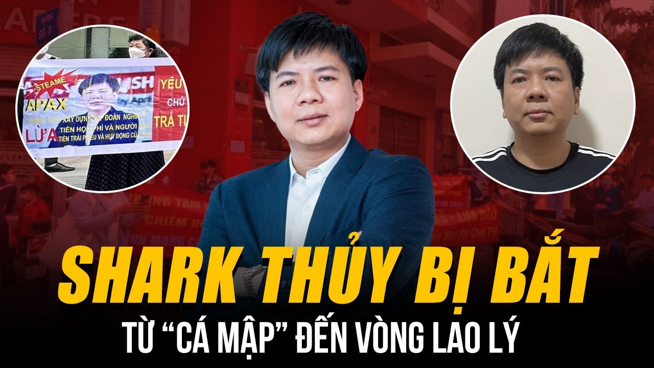 TOÀN CẢNH VỤ SHARK THỦY BỊ BẮT: TỪ “CÁ MẬP” NỔI TIẾNG ĐẾN VƯỚNG VÒNG LAO LÝ
