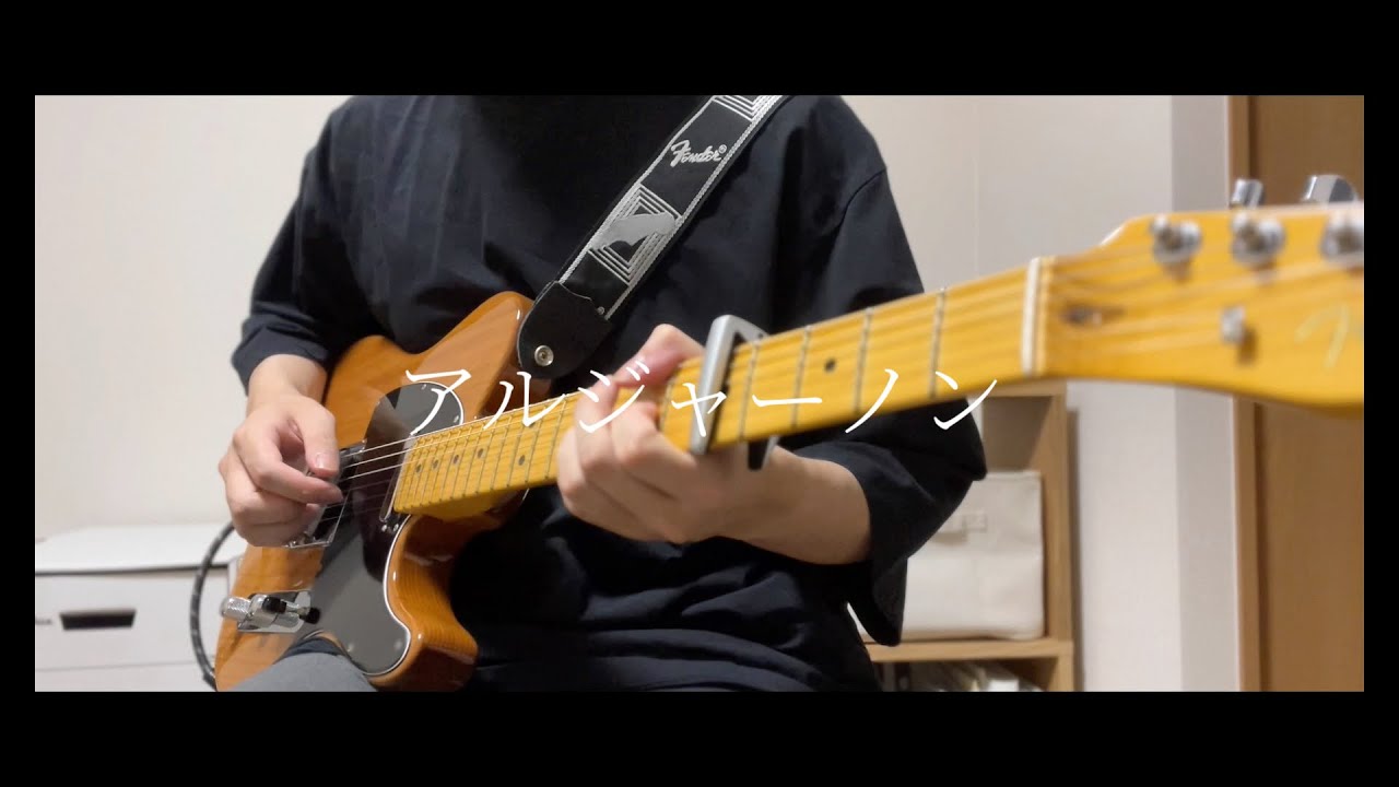 アルジャーノン - ヨルシカ/Guitar Cover　Algernon - Yorushika Guitar Cover