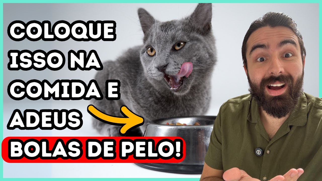 Faça ISSO Para o Seu Gato NÃO Ter BOLA DE PELO Nessa Época Do Ano! (PRIMAVERA)