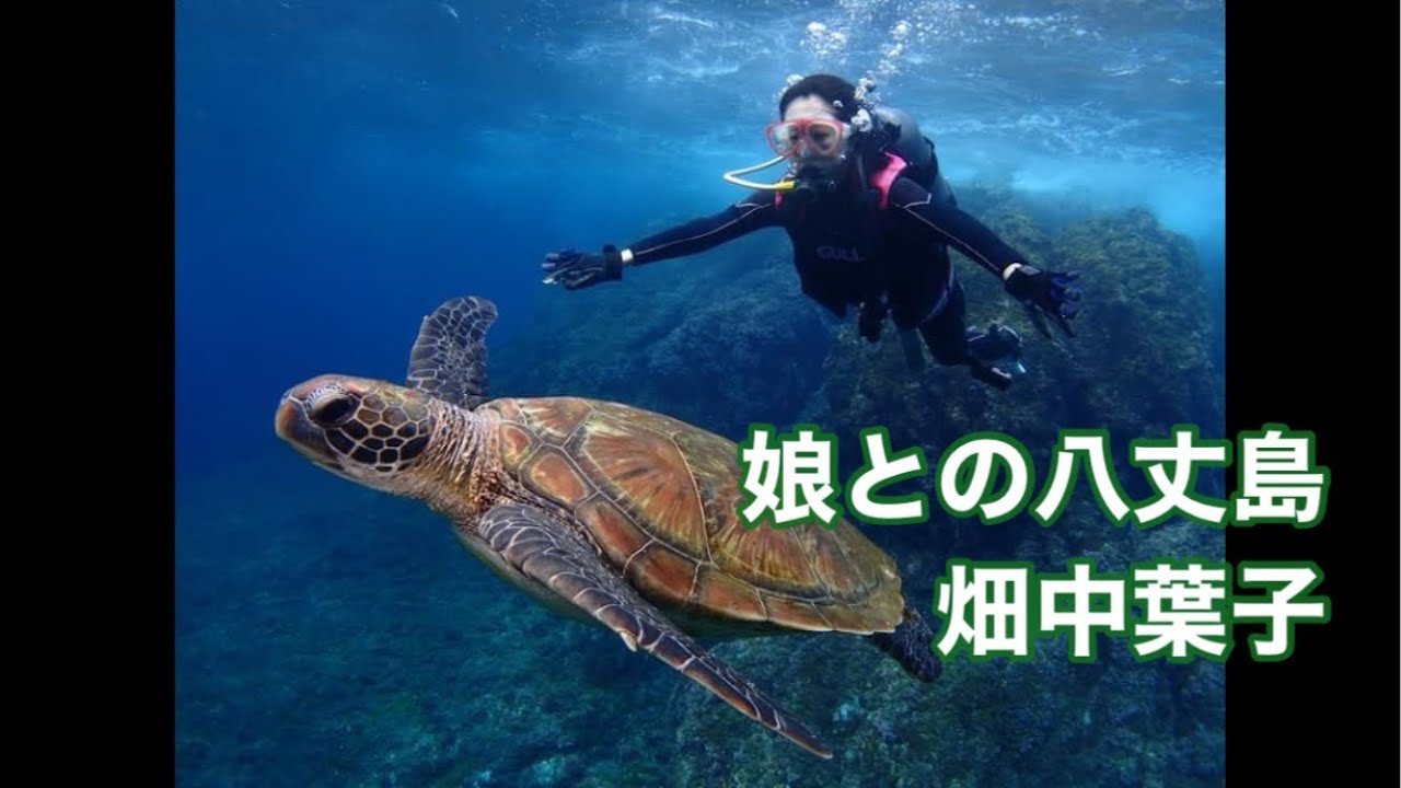 畑中葉子vlog｜娘との八丈島｜親子旅行｜ダイビング｜梁山泊｜大吉丸｜Pamon｜ジャージーカフェ｜ふれあい牧場｜旅行｜trip｜travel｜
