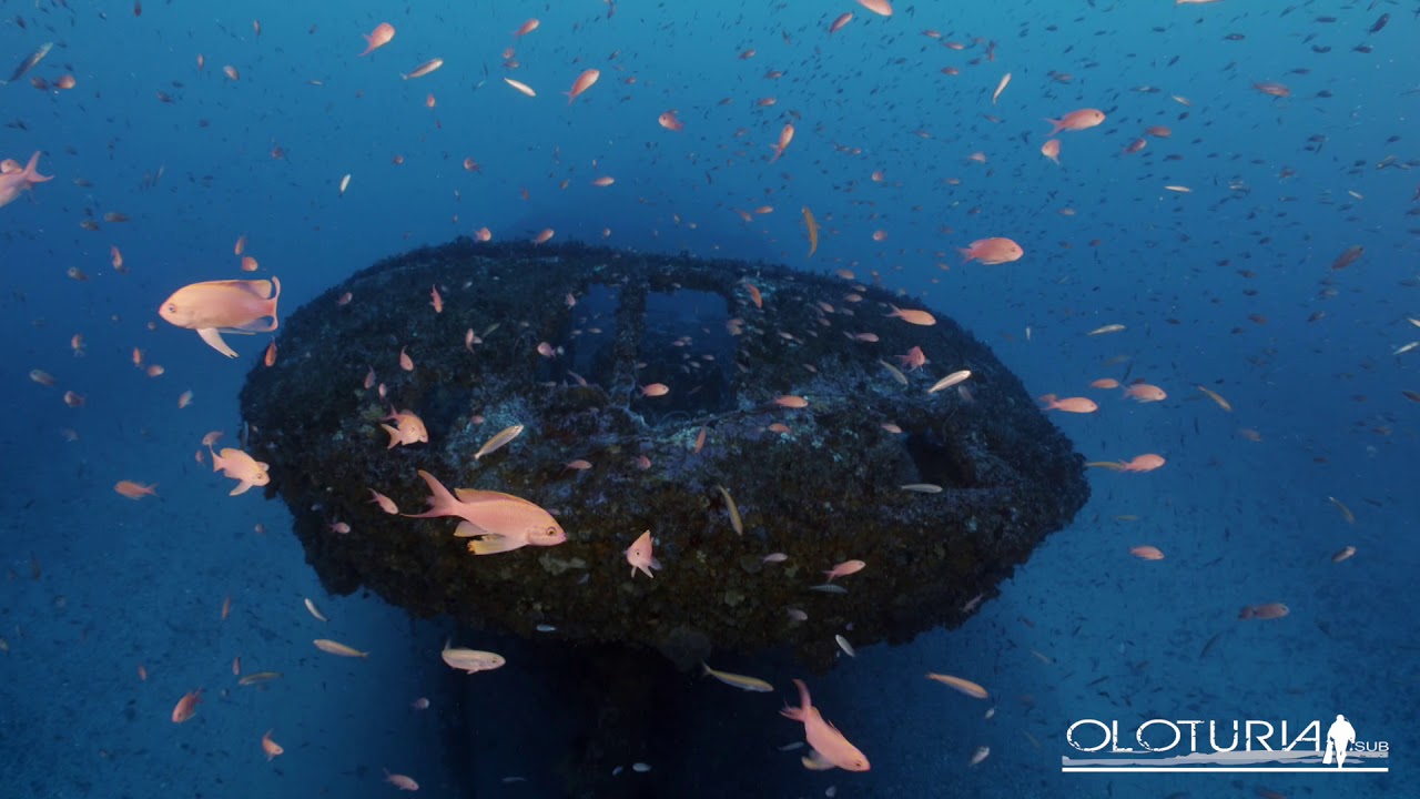 Dive spot in Messina Strait