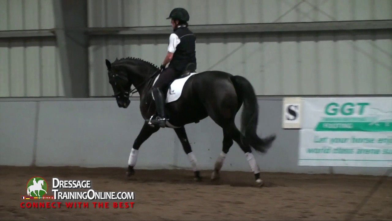Dressage training with master trainer Conrad Schumacher on the basics of training level