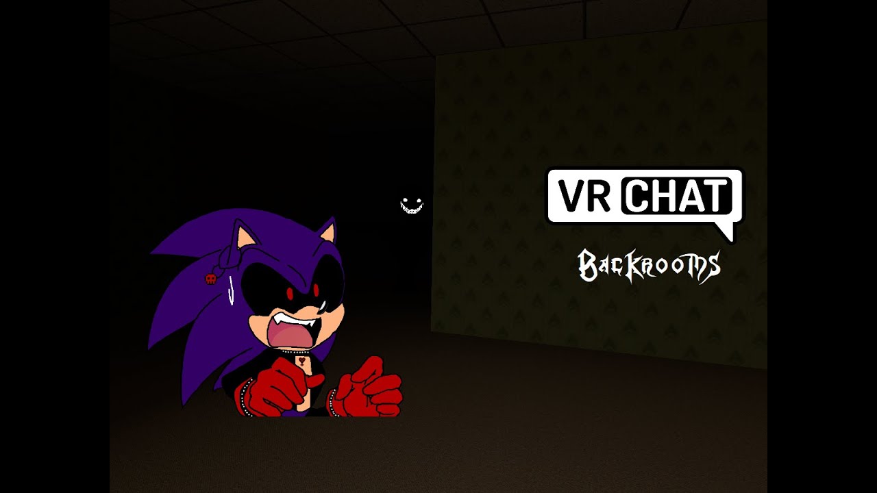 Dark the Hedgehog In Backrooms (VRChat)