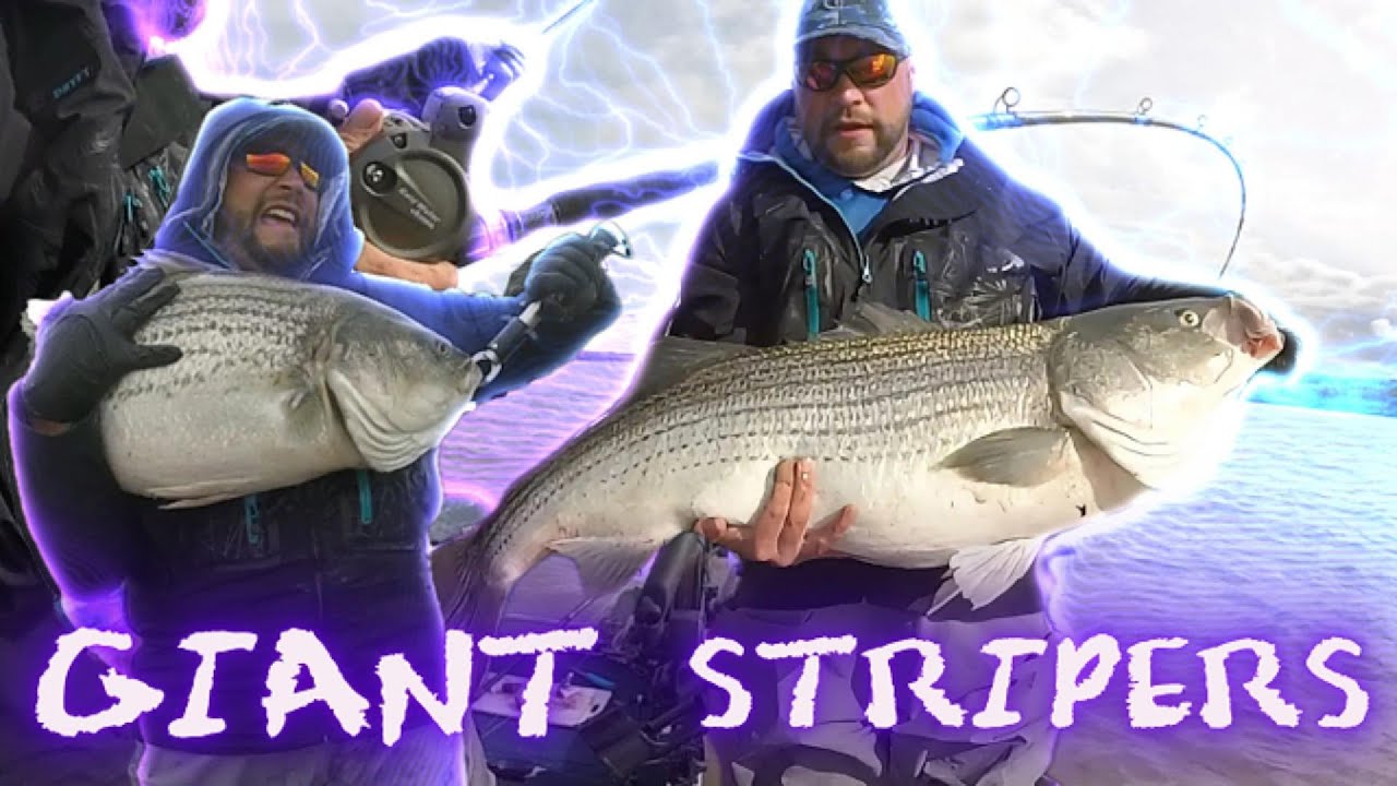 43 LB Striper! HUGE STRIPED BASS, fishing Hudson River NY