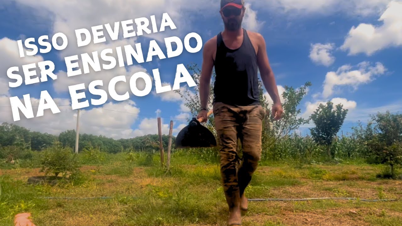 CUIDAR DAS PLANTAS - POUCOS VÃO ENTENDER ESSE TIPO DE RIQUEZA | SÍTIO DO ZERO
