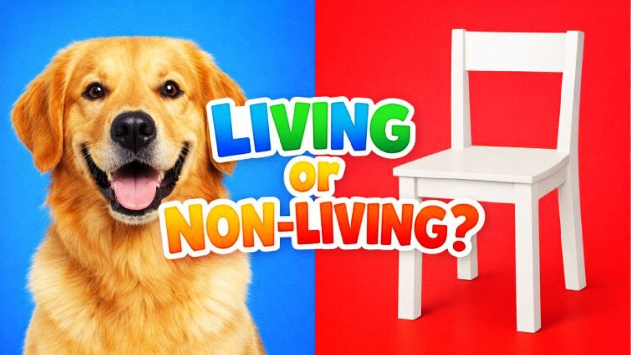 Living or Non-Living? Quiz for Kids