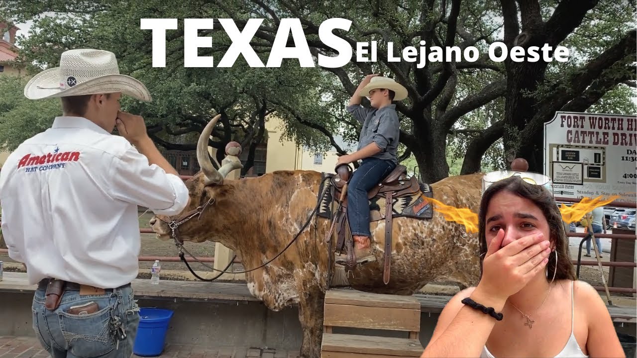 Visité EL LEJANO OESTE | Forth Worh, Texas mini vlog