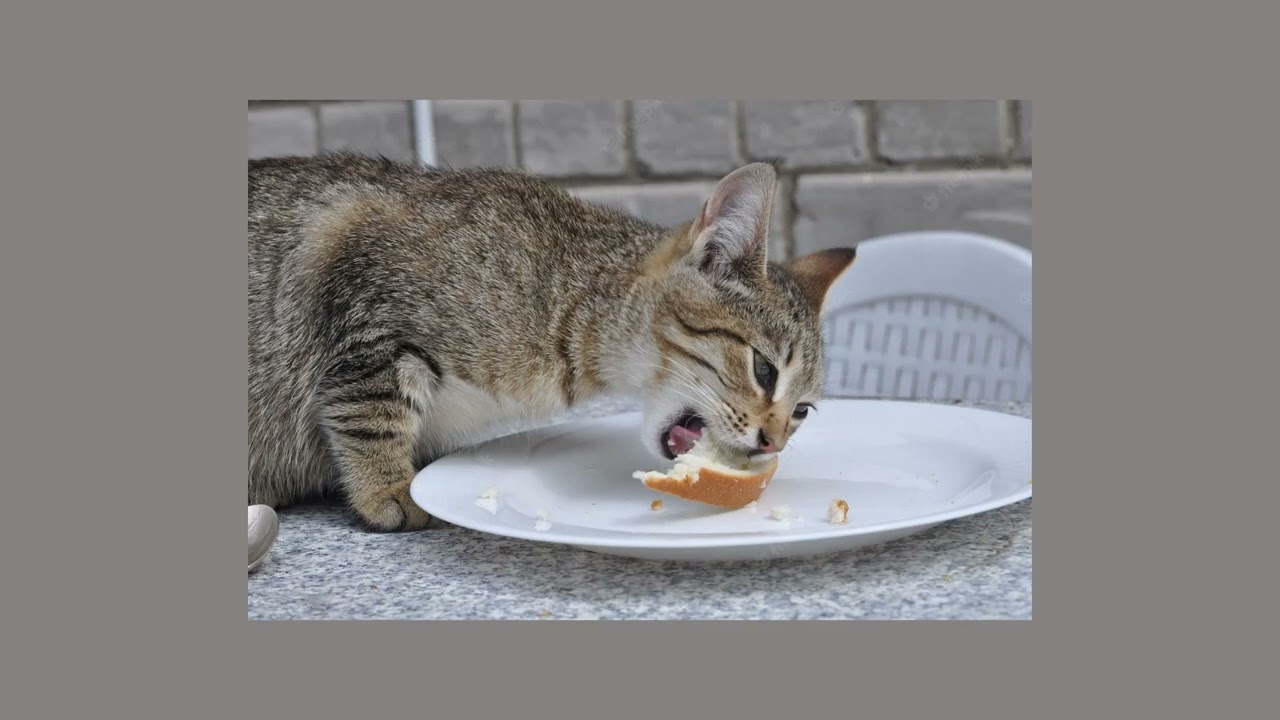 Pablito Traducteur Feat La Santi Lova -- Li li li li(speed up)