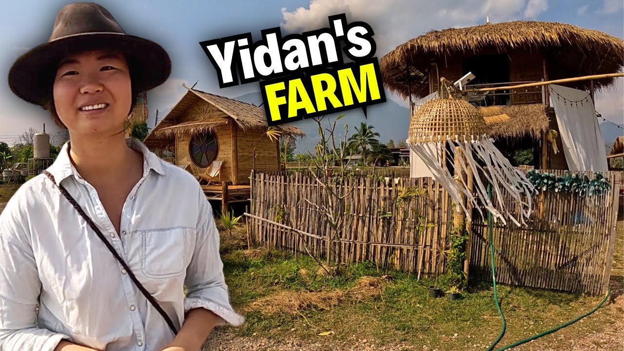 Yidan's Chiang Dao Farm Stay: A Hidden Thai Paradise
