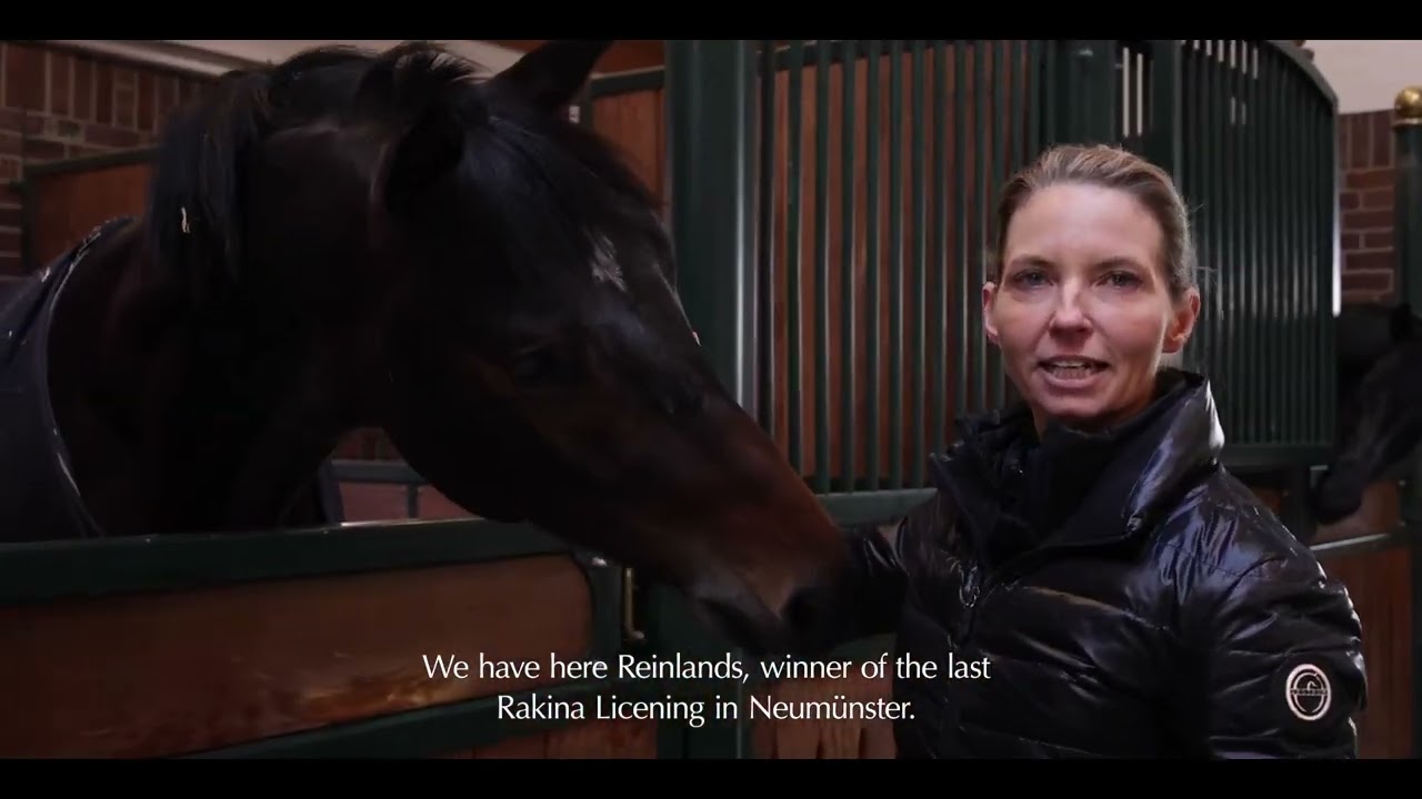 The Global Equestrian Group Brand Video