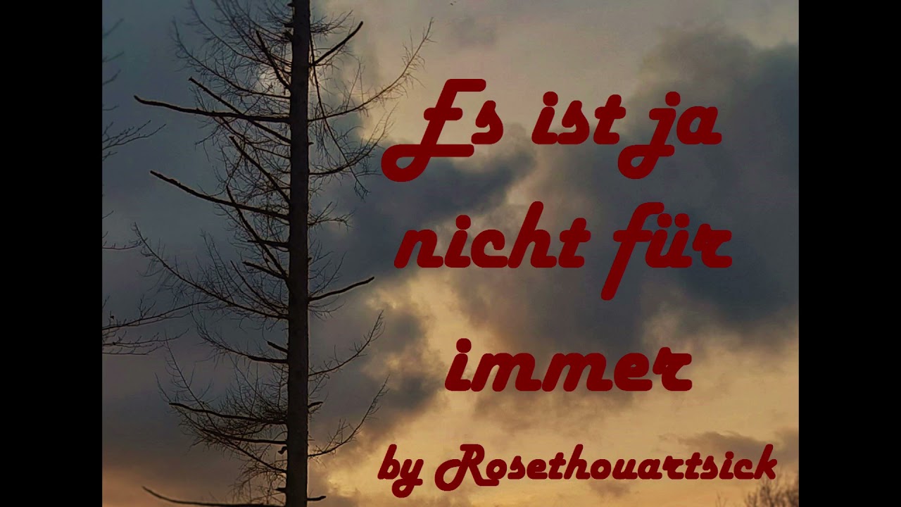 Es ist ja nicht für immer - Pansy Parkinson x Draco Malfoy - Harry Potter Fanfiction [One-Shot]