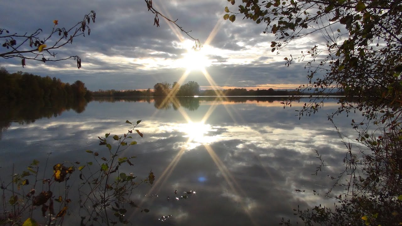 PARC DE MIRIBEL JONAGE ,UN MOMENT DE SERENITE ,SORTIE AUTOMNALE 2023, OBSERVATION DES OISEAUX