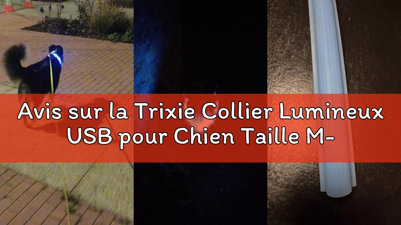 Avis sur la Trixie Collier Lumineux USB pour Chien Taille M-L 1 Unité