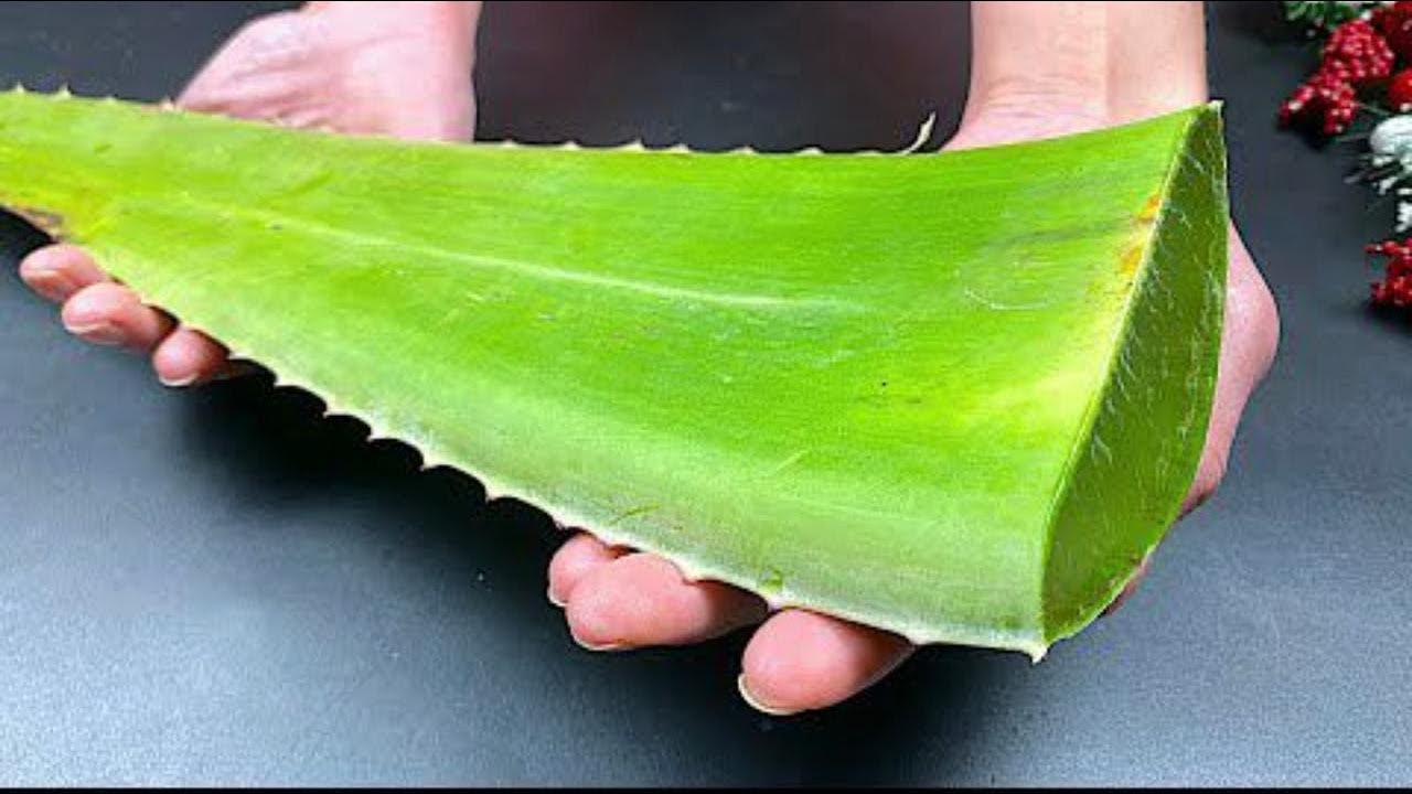 2 maneiras de fazer gel de BABOSA orgânico puro em casa