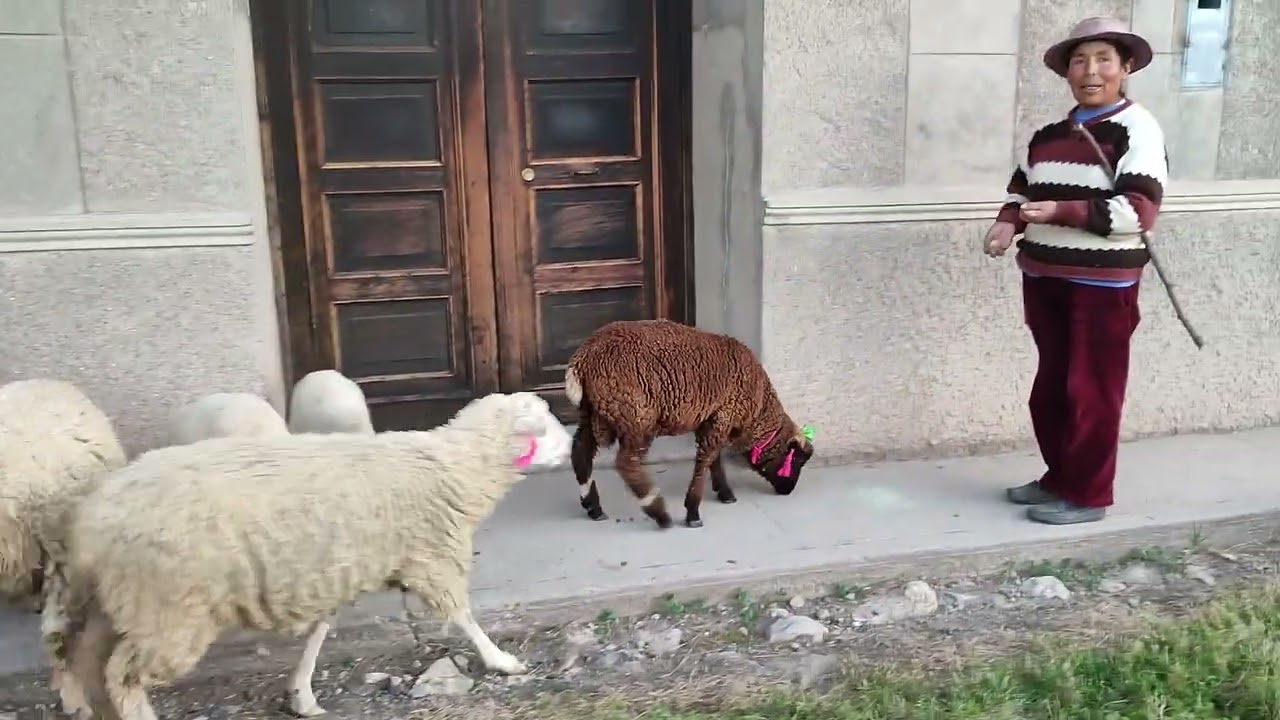 TRAGADERO - Paraíso hermoso del Valle de Yanamarca.