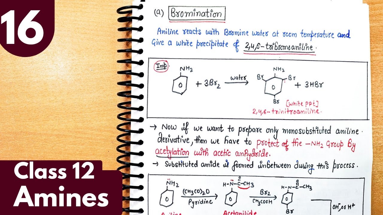 16) Bromination of aniline| Electrophilic substitute reactions of amines| Amines Class12 Chemistry