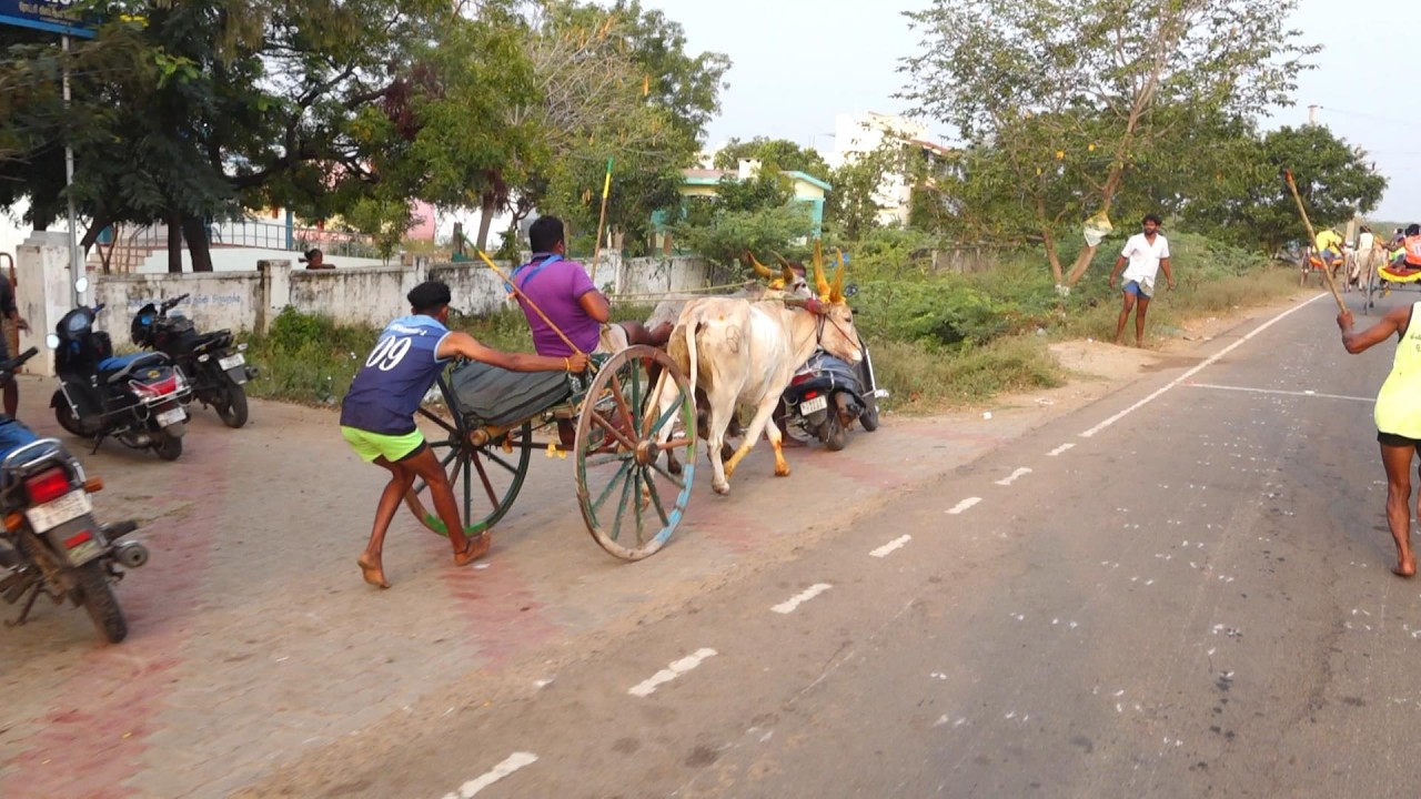 ETSS - பாரனூர் சிறியமாடு - 27/02/2026