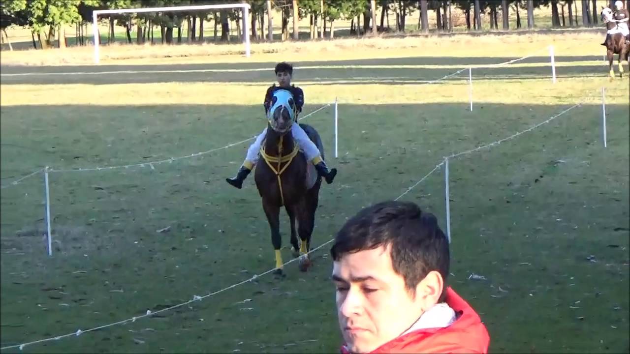 Gran triunfo de 
