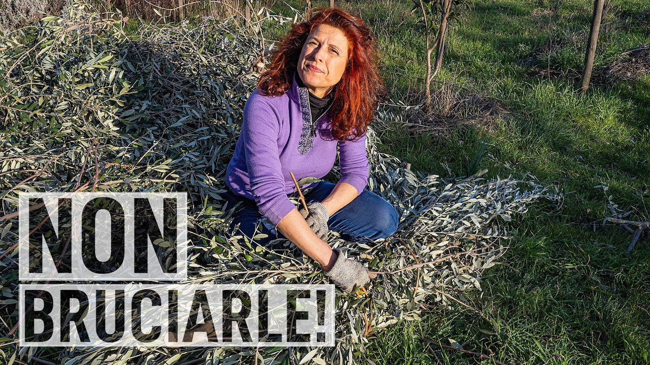 POTATURE dell'OLIVO. Non bruciarle! 10 modi per usarle👩‍🌾