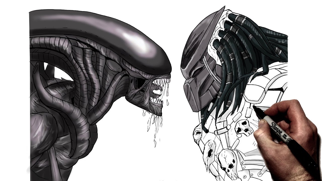 How To Draw Alien Vs Predator | Step By Step | AVP