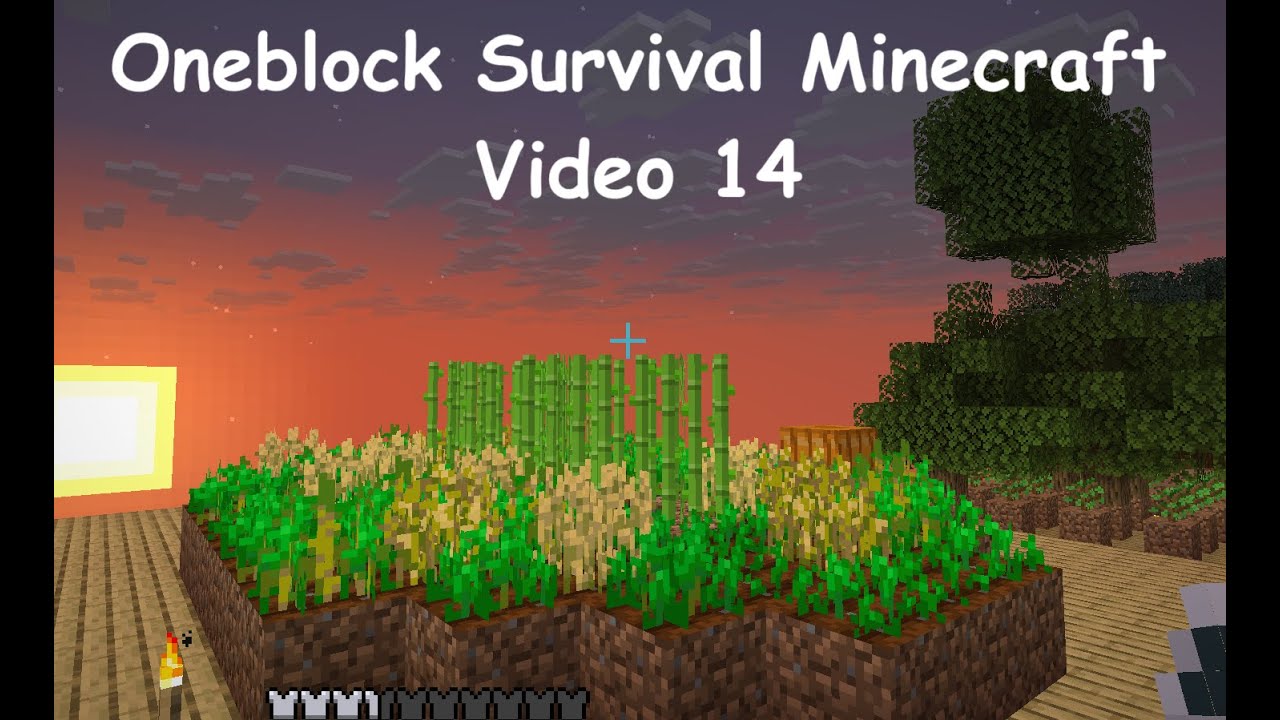 Oneblock Survival Minecraft - Video 14