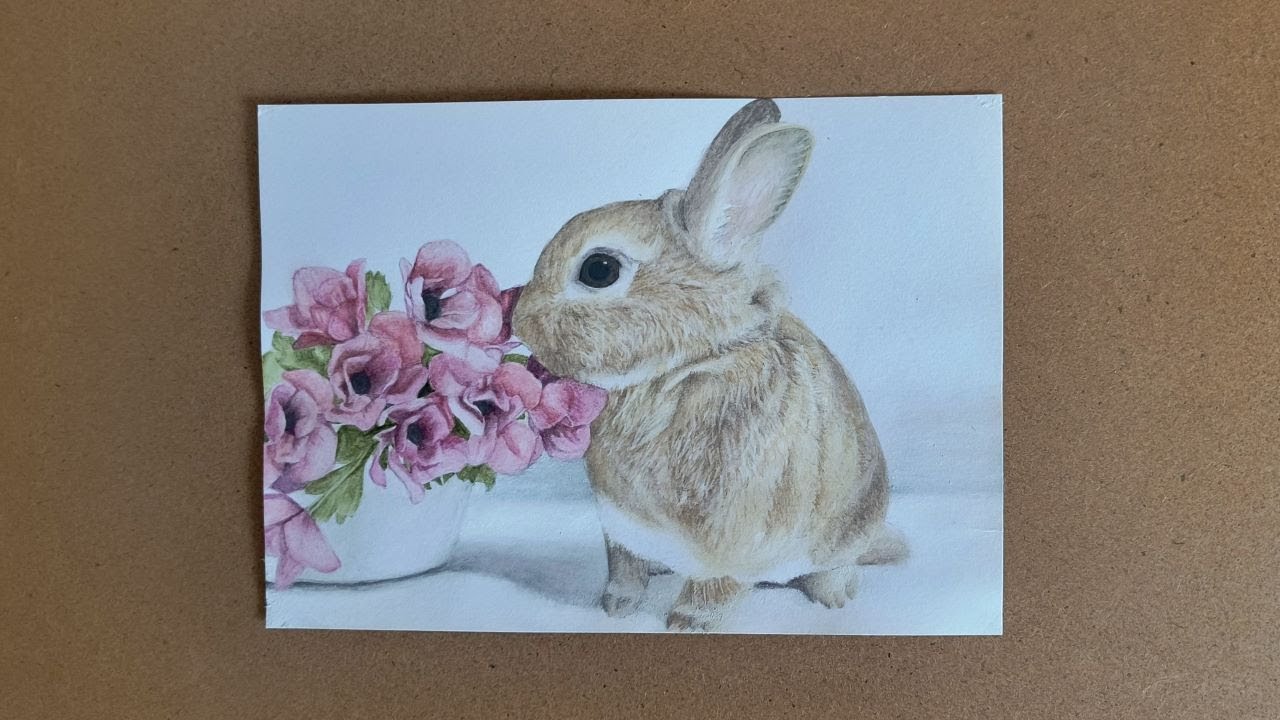 お花とうさぎ🐰