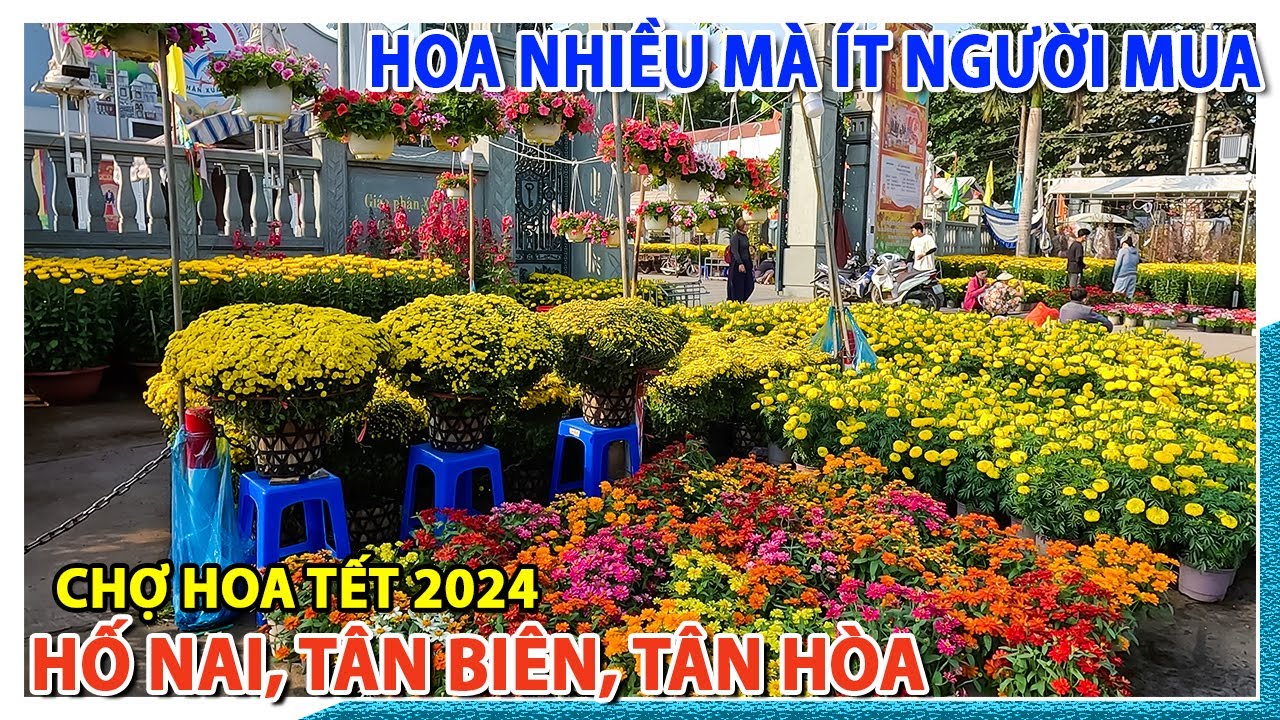 TÌNH HÌNH chợ hoa tết 2024 HỐ NAI, TÂN BIÊN, TÂN HÒA | SỨC MUA CHƯA CAO