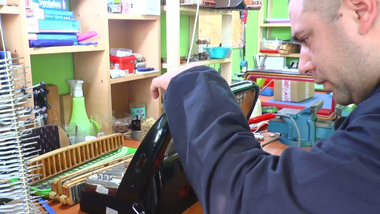 TV 5 - Majstori za harominike iz Bajine Bašte