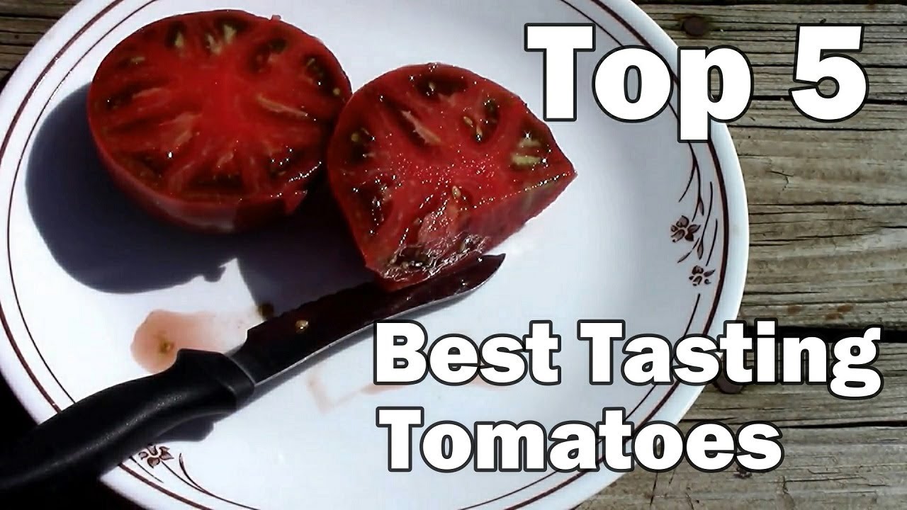 Мой топ-5 самых вкусных томатов.