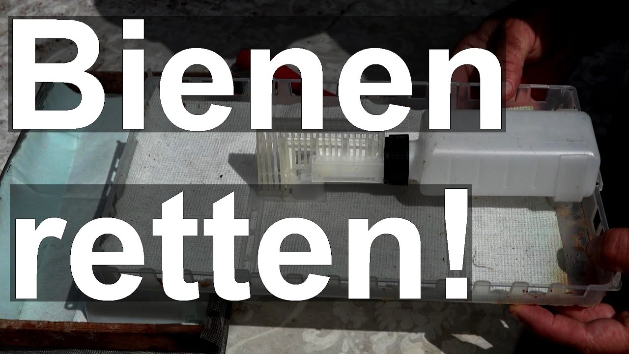 Wie beginne ich die Varroa-Behandlung? Nassenheider professional - Universal H mit Ameisensäure