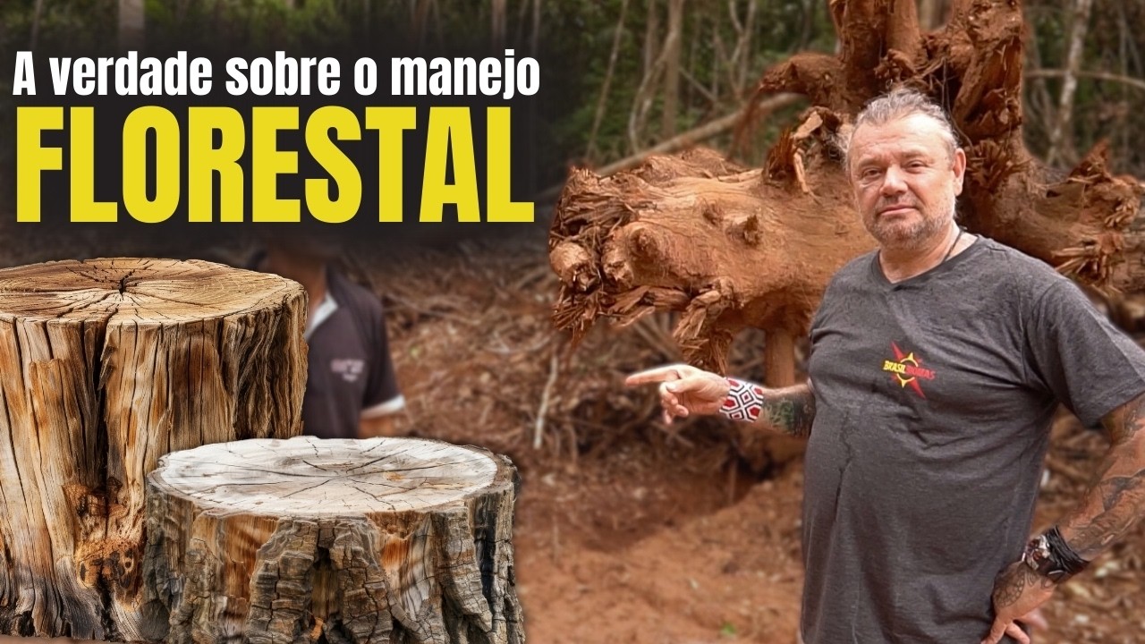 CORTAR ÁRVORES PODE AJUDAR A NATUREZA! ENTENDA! 🌍