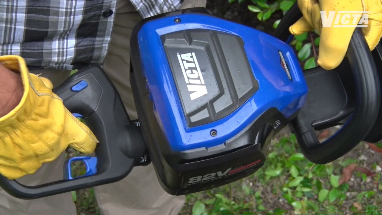 Hedge trimming & care tips