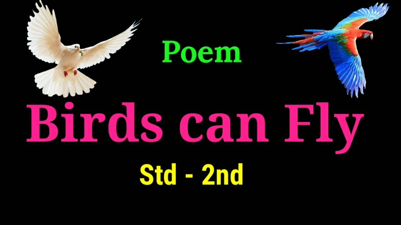 Birds can Fly | Std - 2nd | New Syllabus | खूप सुंदर चाल