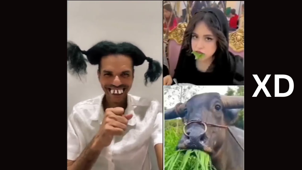 VIDEO VIRAL DE RISA - SI TE RÍES OTRA VEZ FRACASAS - [999.99 IMPOSIBLE NO REÍRSE] #3