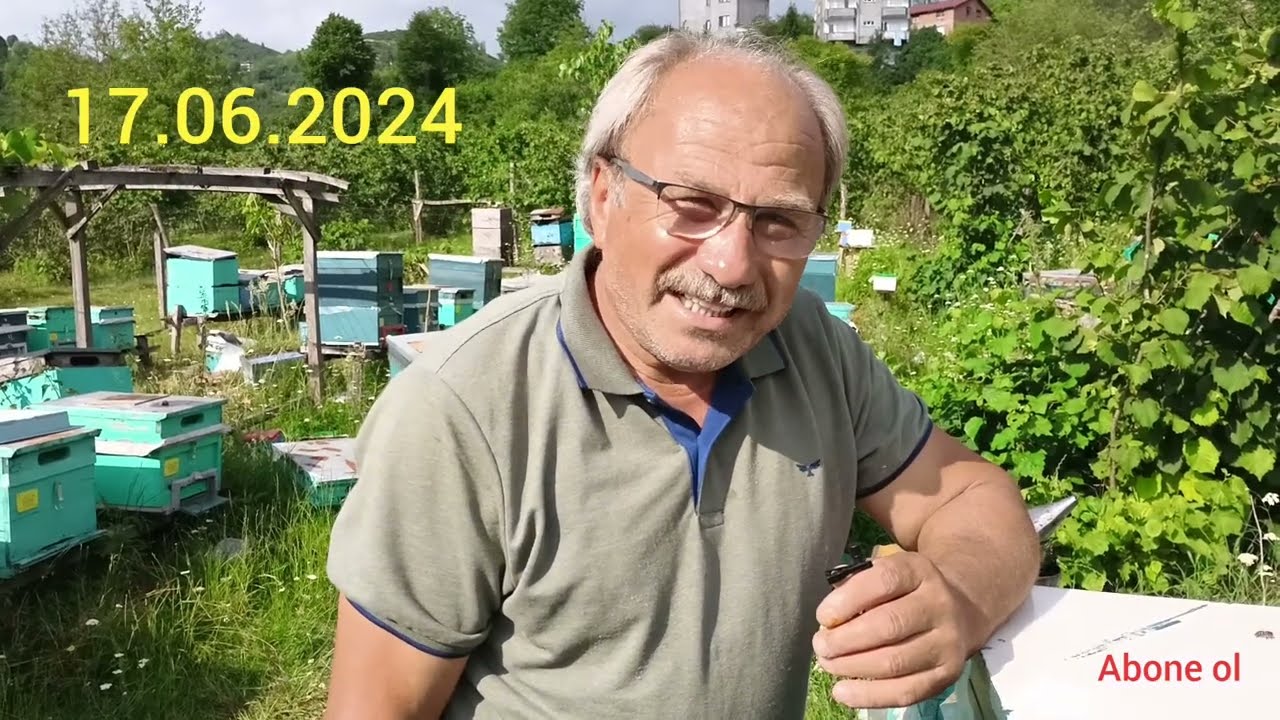 Kokarca ve Fındık İlaçlamasının Arılara Verdikleri Zarar/ Kestane Ormanına Gidiş Hazırlığı