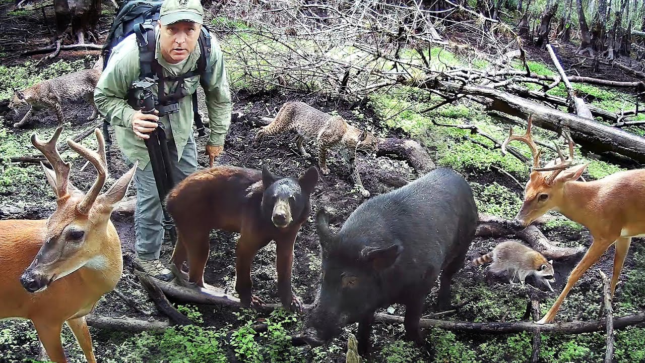 Tim Harrell - Swamp Trail Camera Pickup