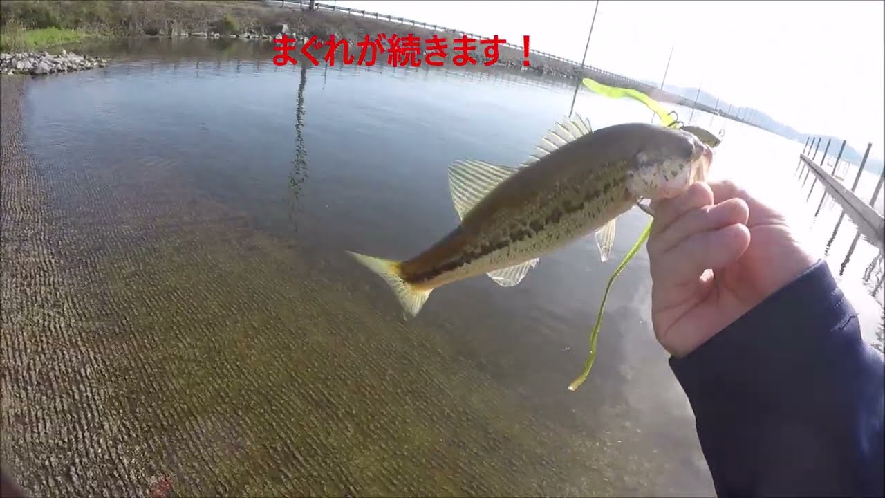 20260314ガンターズビルレイクブラック釣り