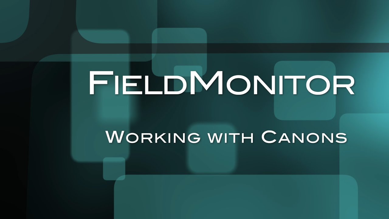 FieldMonitor with Canons